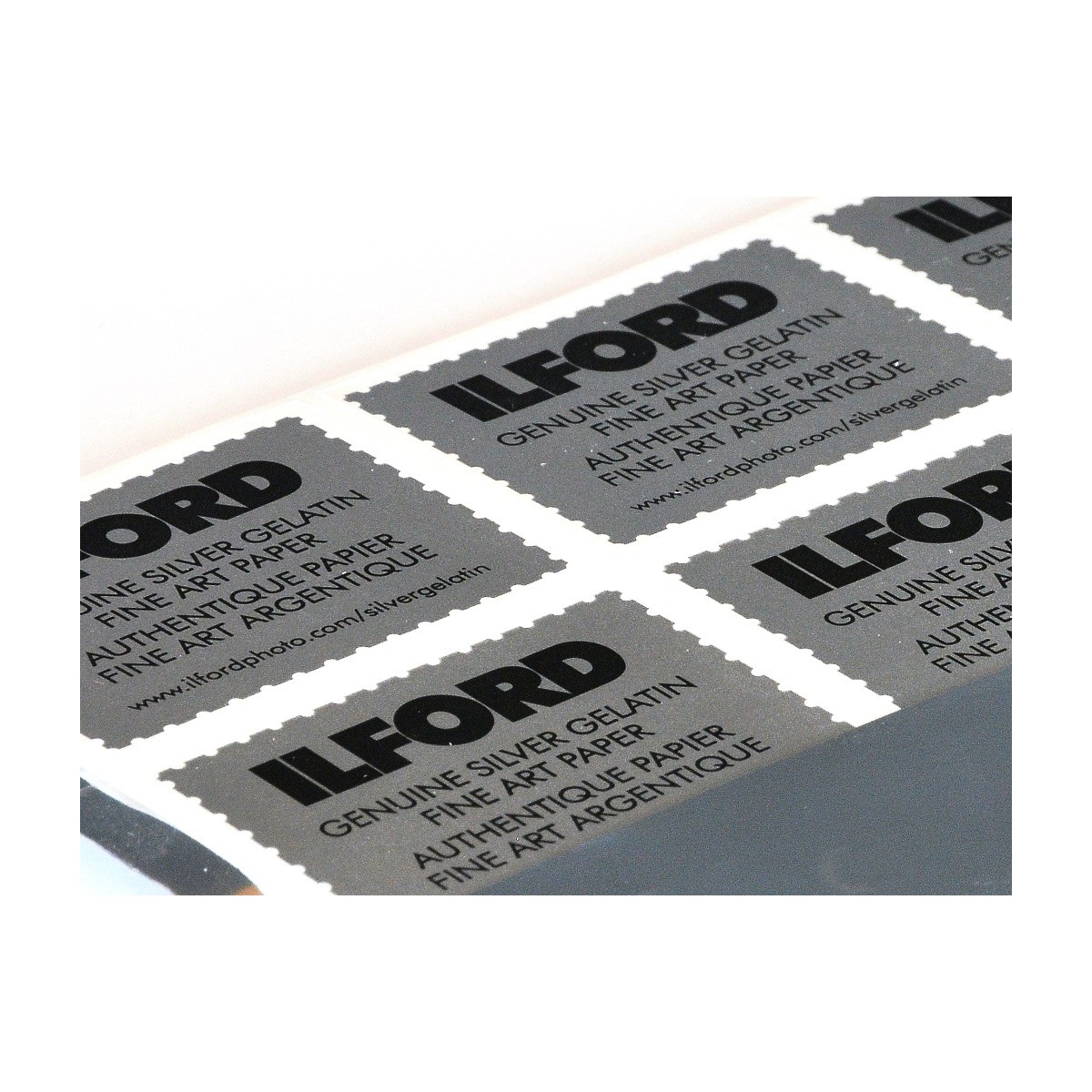 Ilford Multigrade V RC Deluxe 30x40/10 perła