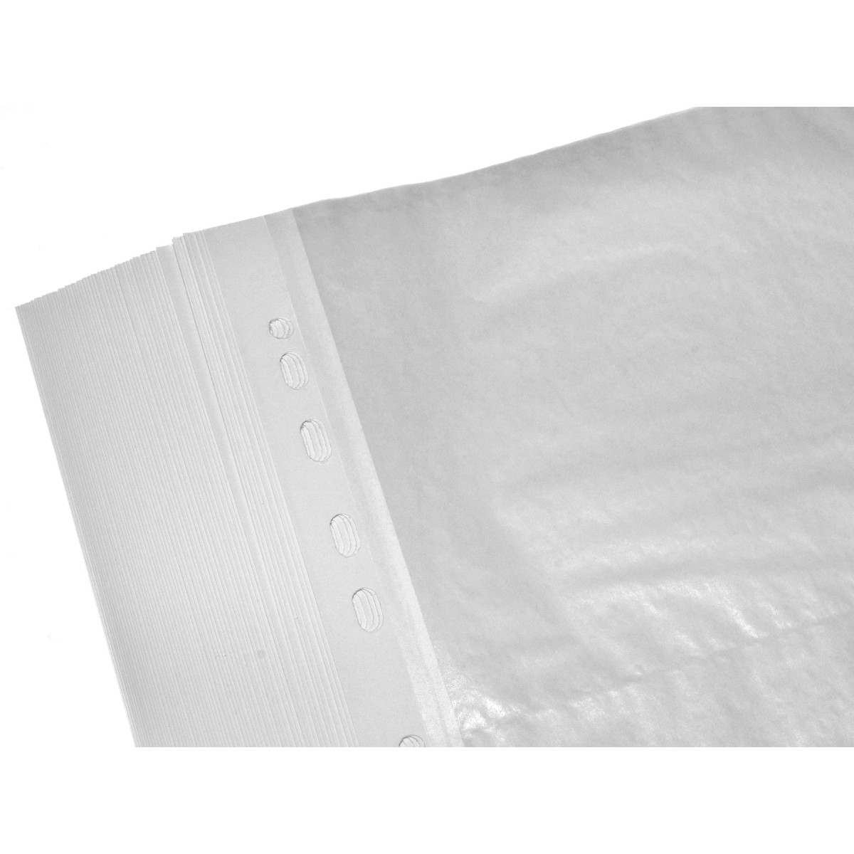 Rollei Koszulki pergaminowe do segregatora 13x18cm/2 10szt.