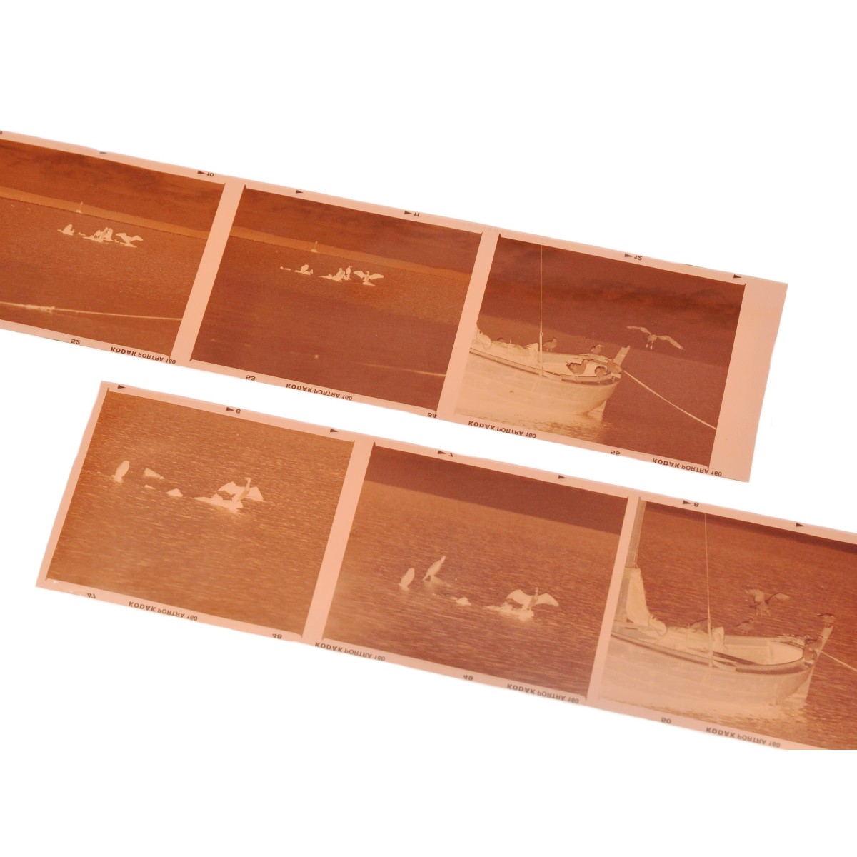 Wywołanie kliszy, filmu barwnego, negatywu typ 120 proces C41