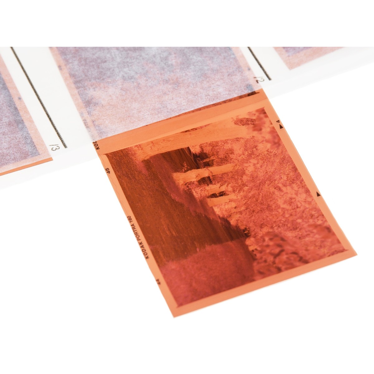 Wywołanie kliszy, filmu barwnego, negatywu typ 120 proces C41