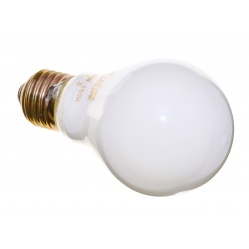 Dr Fischer Żarówka mleczna do powiększalnika - 100W gwint E27