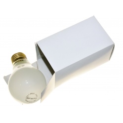 Dr Fischer Żarówka matowa 250W gwint E27 do fotografii