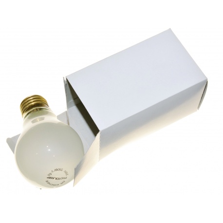 Dr Fischer Żarówka matowa 250W gwint E27 do fotografii