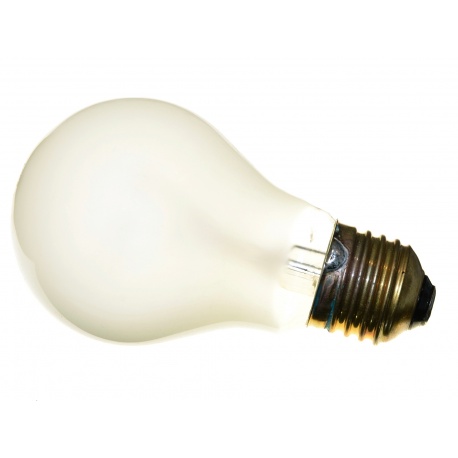 Dr Fischer Żarówka matowa 250W gwint E27 do fotografii