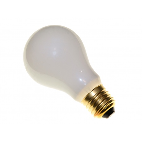 Paterson Żarówka do powiększalnika mleczna 75W gwint E27