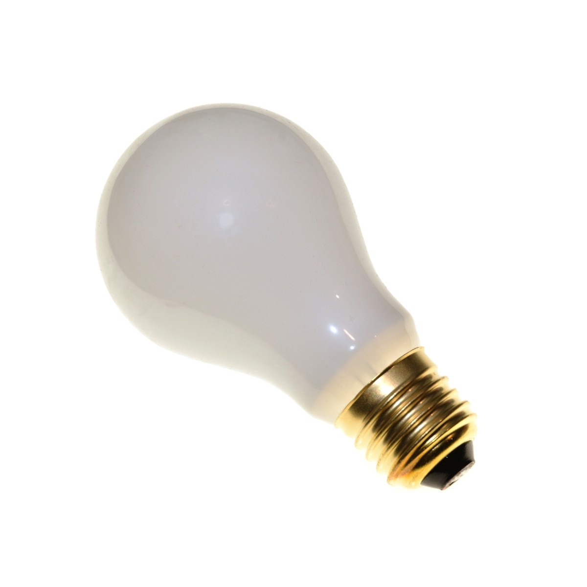 Paterson Żarówka do powiększalnika mleczna 75W gwint E27