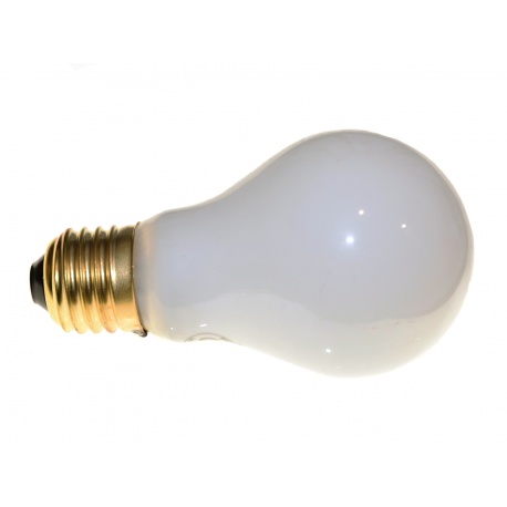 Paterson Żarówka do powiększalnika mleczna 75W gwint E27