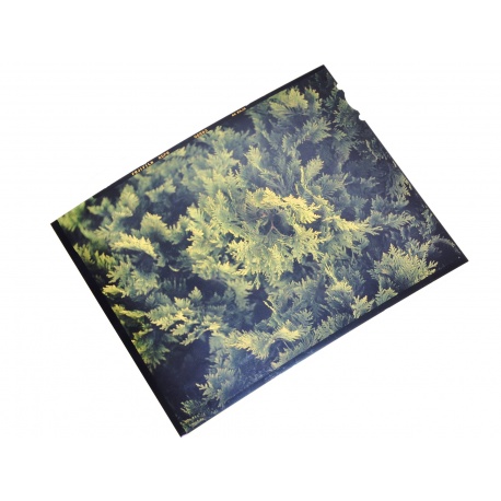 Wywołanie slajdu kolorowego 4x5" (proces E6)