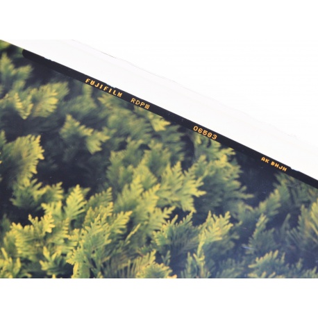 Wywołanie slajdu kolorowego 4x5" (proces E6)