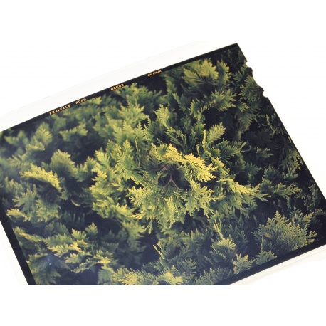 Wywołanie slajdu kolorowego 4x5" (proces E6)