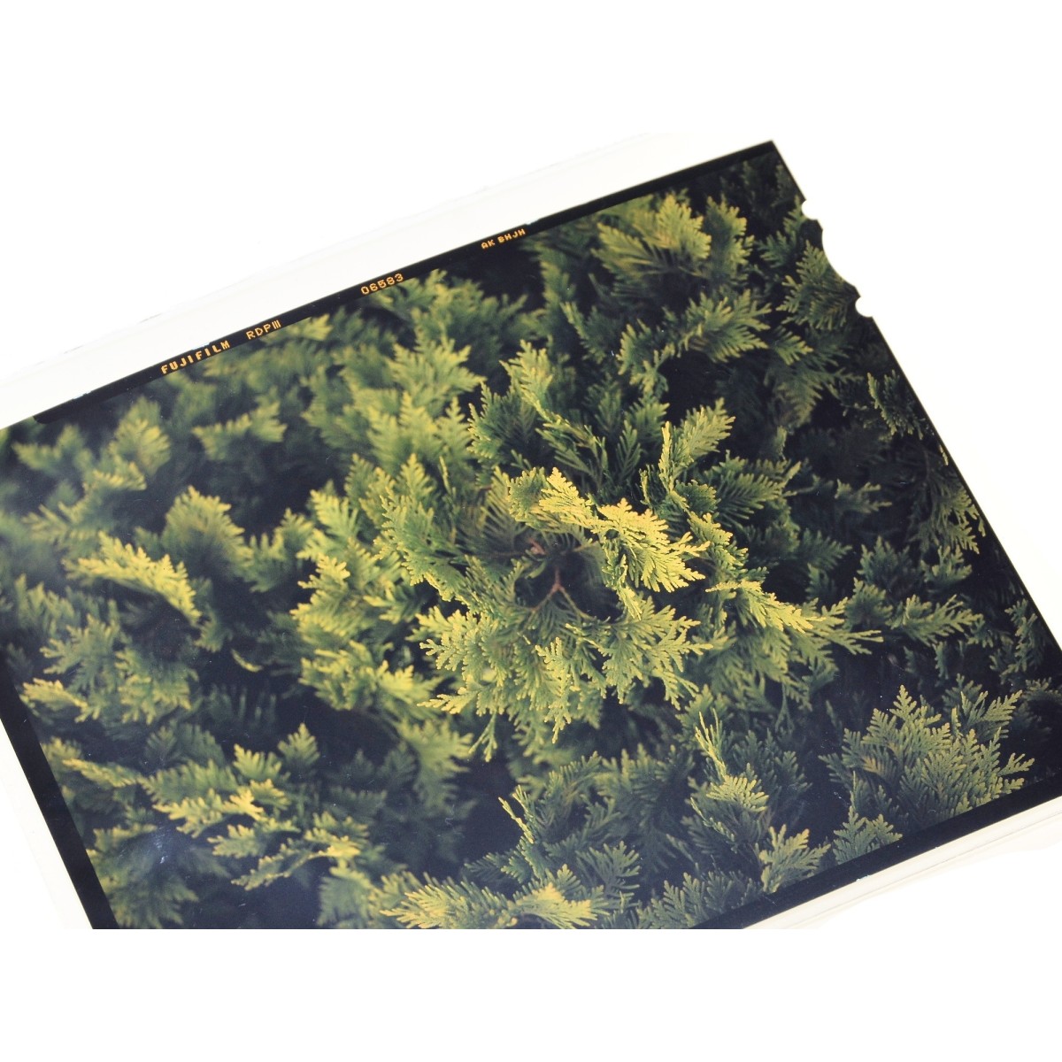 Wywołanie slajdu kolorowego 4x5" (proces E6)