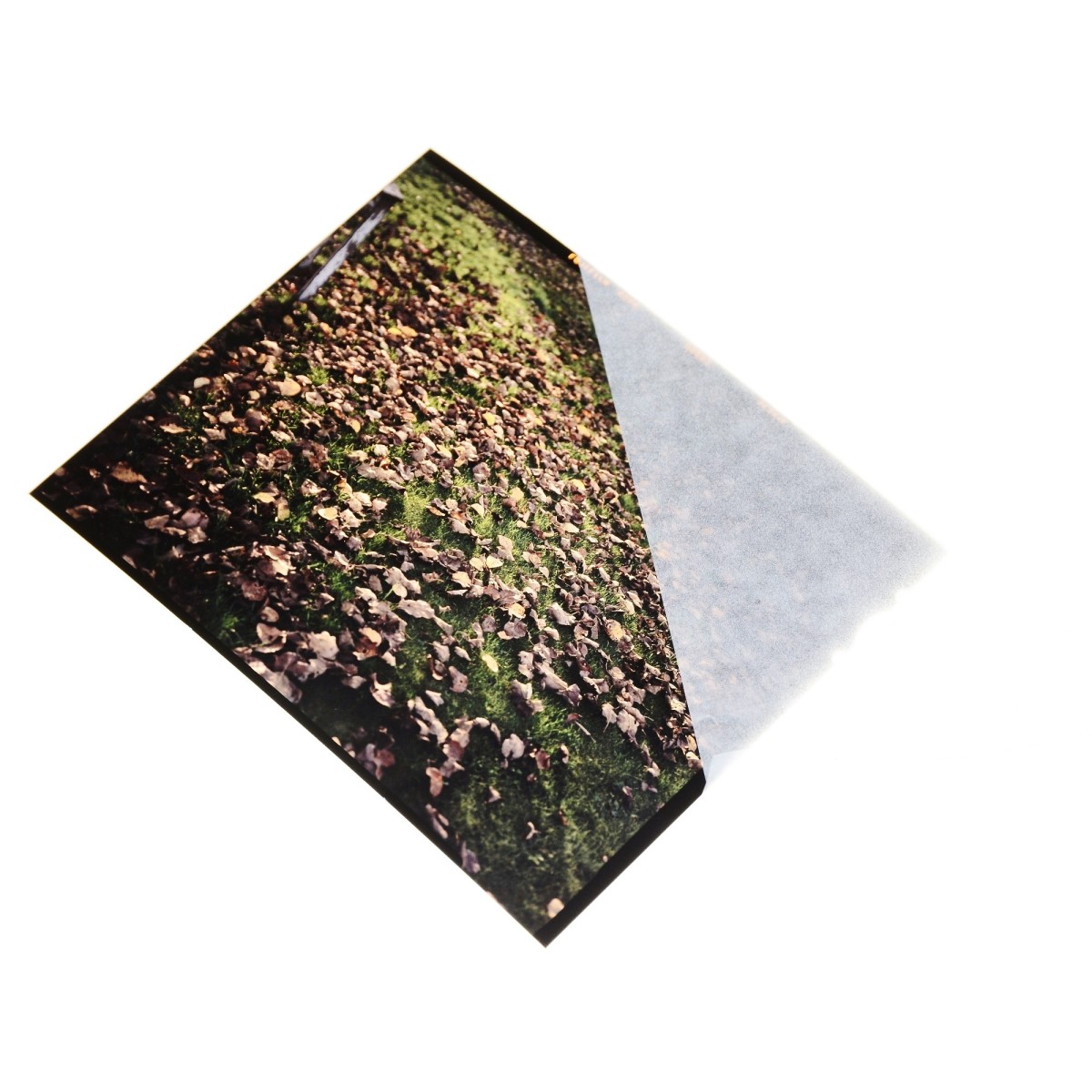 Wywołanie slajdu kolorowego 4x5" (proces E6)