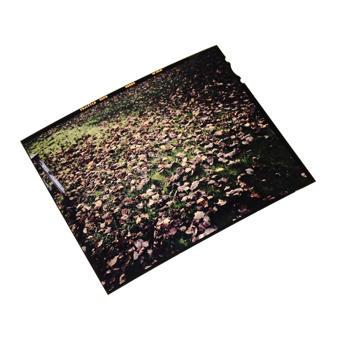 Wywołanie slajdu kolorowego 4x5" (proces E6)