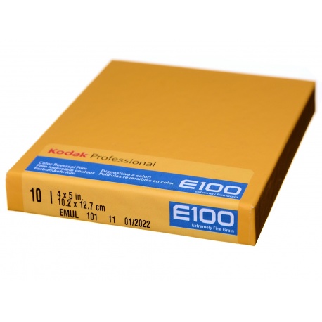 Kodak Ektachrome E100 slajd kolorowy format 4x5 cala 10 szt.