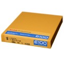 Kodak Ektachrome E100 slajd kolorowy format 4x5 cala 10 szt.