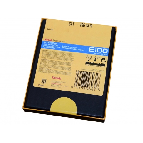 Kodak Ektachrome E100 slajd kolorowy format 4x5 cala 10 szt.