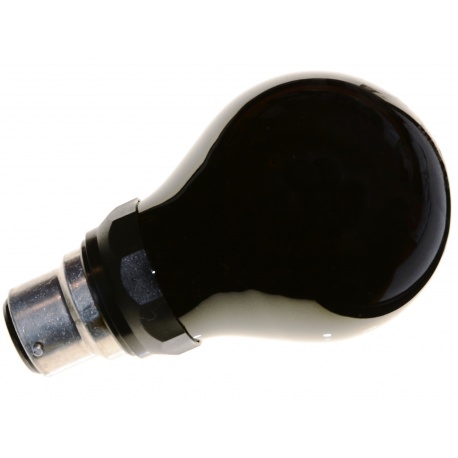 Philips Żarówka oliwkowa, żółto-zielona 15 W do oświetlenia ciemni BW