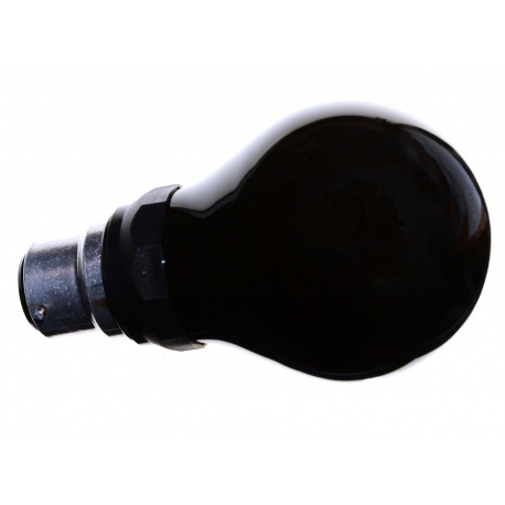 Philips Żarówka oliwkowa, żółto-zielona 15 W do oświetlenia ciemni BW