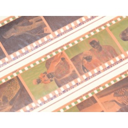 Wywołanie kliszy, filmu barwnego, negatywu 120 i 35mm. proces ECN2