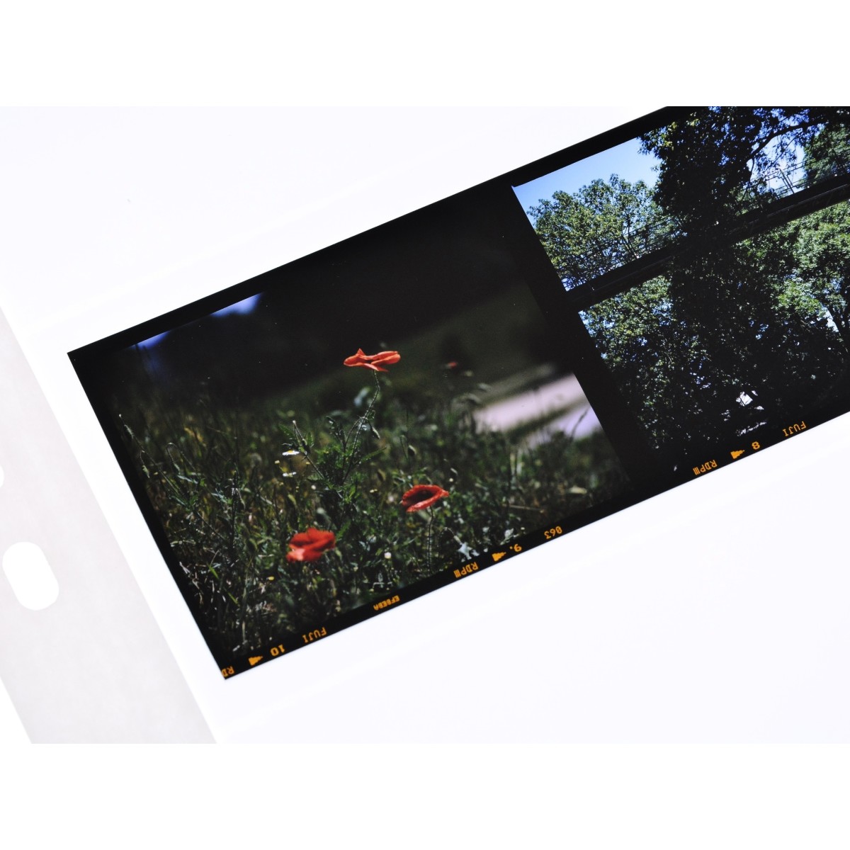 Skanowanie filmu typ 135 35mm w JPG skan E6, C41, B&W, ECN-2