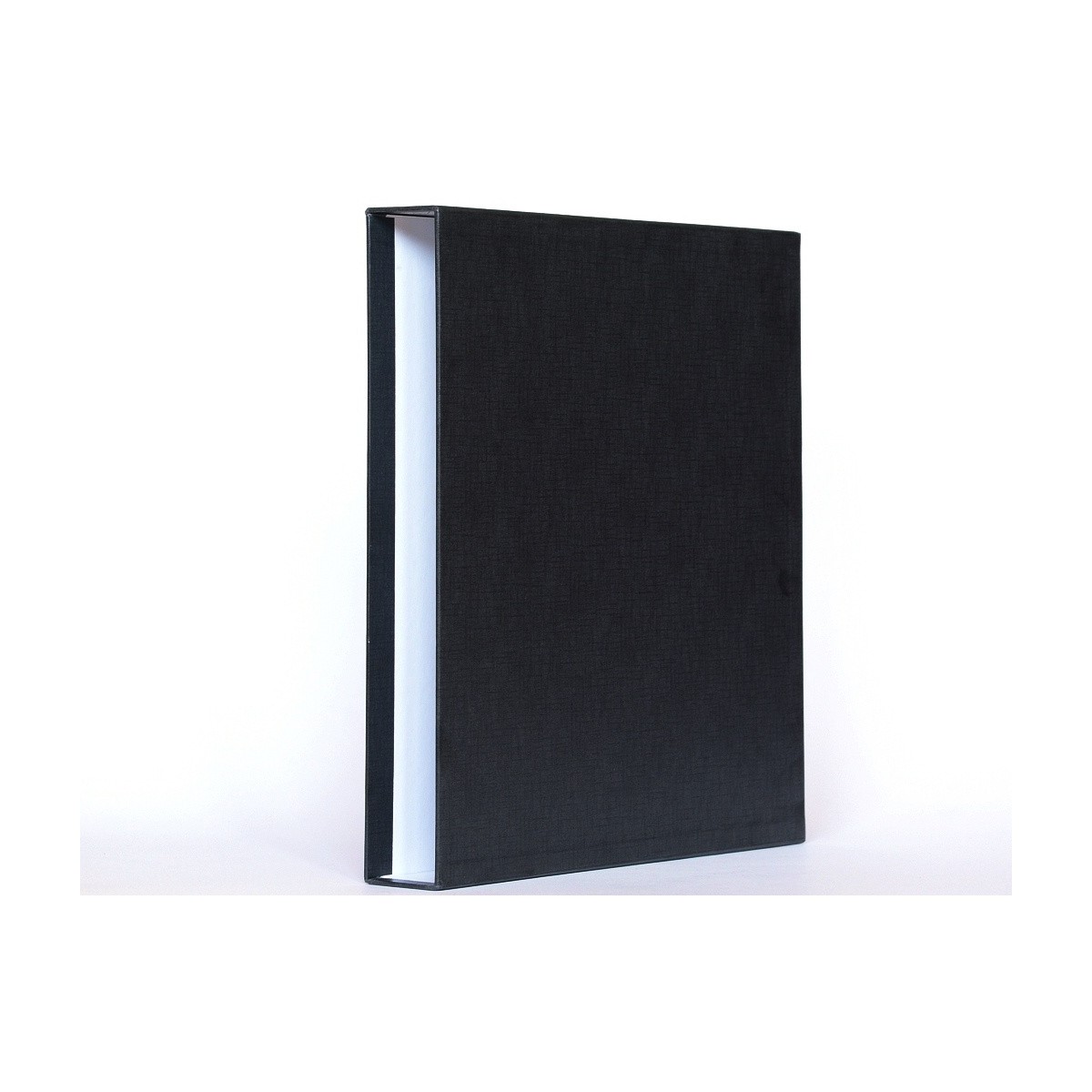 Delfin Segregator i futerał - etui na folie, koszulki na filmy