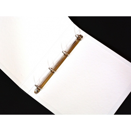 Delfin Segregator i futerał - etui na folie, koszulki na filmy