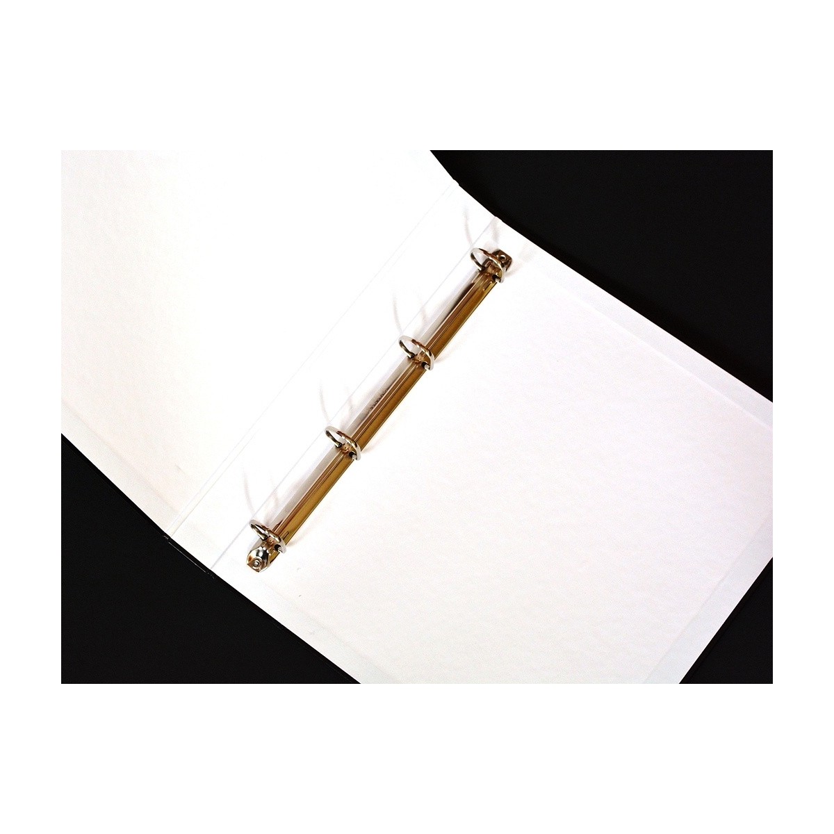 Delfin Segregator i futerał - etui na folie, koszulki na filmy