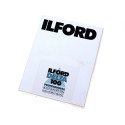 Ilford Delta 100 PROFESSIONAL 4x5 cala 25szt.  NA ZAMÓWIENIE