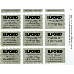 Ilford Multigrade FB Classic 24x30/50 błysk papier barytowy