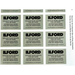 Ilford Multigrade FB Classic 18x24/25 mat baryt wielogradacyjny